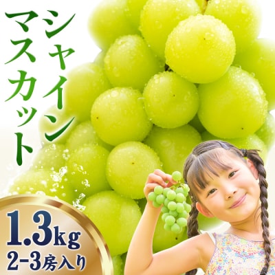 【さとふる限定】シャインマスカット 約1.3kg《9月上旬-11月中旬頃出荷》笠岡市