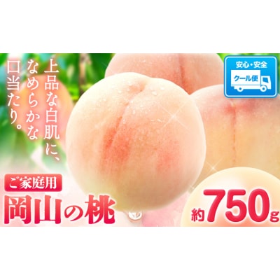 桃 岡山の桃 約750g《6月下旬-9月上旬頃出荷》岡山県 笠岡市 ご家庭用 白桃