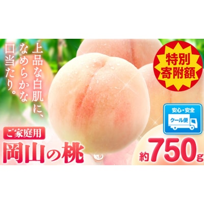 【豊作につき特別寄附額】岡山の桃 約750g《6月下旬-9月上旬頃出荷》岡山県 笠岡市 家庭用 白桃