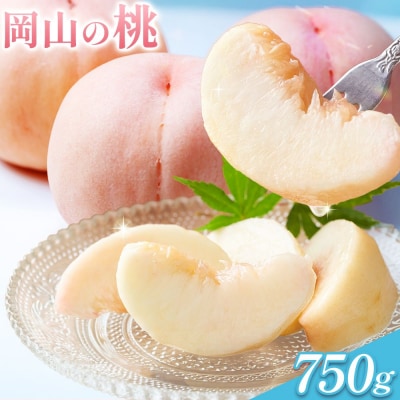 【2027年発送】岡山の桃 約750g《6月下旬～9月上旬ごろ出荷》岡山県 笠岡市 白桃