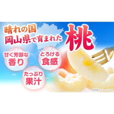 桃 岡山の桃 約750g《6月下旬-9月上旬頃出荷》岡山県 笠岡市 ご家庭用 白桃