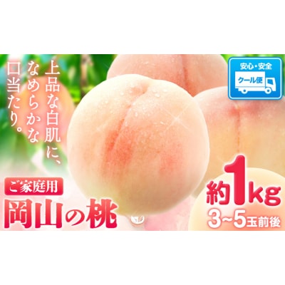 桃 岡山の桃 約1kg《6月下旬-9月上旬頃出荷》岡山県 笠岡市 ご家庭用 白桃