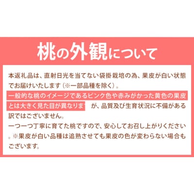 桃 岡山の桃 約1kg《6月下旬-9月上旬頃出荷》岡山県 笠岡市 ご家庭用 白桃