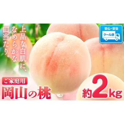 まだ間に合う今年発送! 岡山の桃 約2kg《2026年6月下旬～9月上旬頃出荷》岡山県 笠岡市 白桃