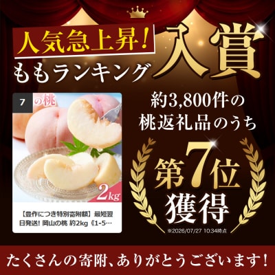 【2027年発送】岡山の桃 約2kg《2027年6月下旬～9月上旬頃出荷》岡山県 笠岡市 白桃