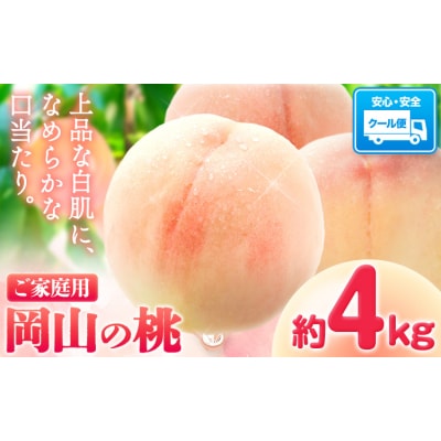 桃 岡山の桃 約4kg《6月下旬-9月上旬頃出荷》岡山県 笠岡市 ご家庭用 白桃