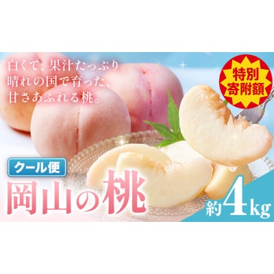 【豊作につき特別寄附額】最短翌日発送! 岡山の桃 約4kg《1-5営業日出荷》岡山県 笠岡市 白桃