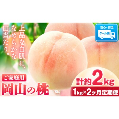 桃 岡山の桃 約1kg×2ヶ月定期便《7月上旬-8月末頃出荷》岡山県 笠岡市 ご家庭用 白桃