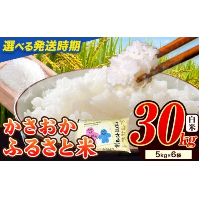 【令和8年5月発送】 令和7年産　備中笠岡ふるさと米　30kg 