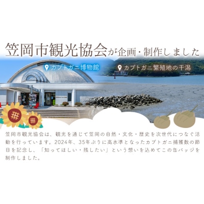 オリジナルカブトガニ缶バッジ 4個セット 笠岡市観光協会《30日以内に出荷予定(土日祝除く)》