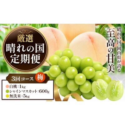 フルーツ 厳選 晴れの国定期便 シャインマスカット 600g 白桃 1kg 米 5kg 無洗米 3回