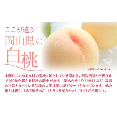 フルーツ 厳選 晴れの国定期便 シャインマスカット 600g 白桃 1kg 米 5kg 無洗米 3回