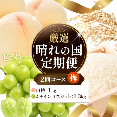 フルーツ 厳選 晴れの国定期便 シャインマスカット 1.3kg 白桃 1kg 2回 お届け 定期便