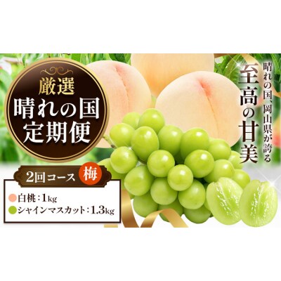 フルーツ 厳選 晴れの国定期便 シャインマスカット 1.3kg 白桃 1kg 2回 お届け 定期便