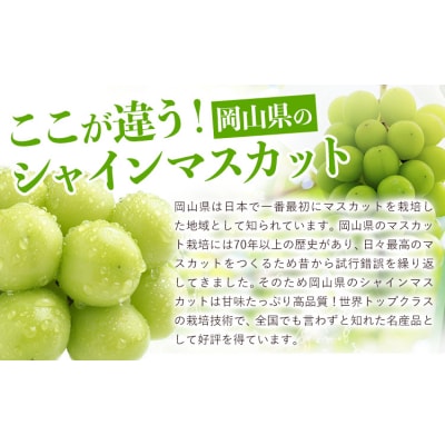 フルーツ 厳選 晴れの国定期便 シャインマスカット 1.3kg 白桃 1kg 2回 お届け 定期便