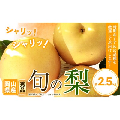 秀品 岡山県産 旬の 梨 約2.5kg 2~6玉前後《9月上旬-1月末頃に出荷予定》岡山県 笠岡市