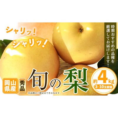 秀品 岡山県産 旬の 梨 約4kg 3~10玉前後《9月上旬-1月末頃に出荷予定》岡山県 笠岡市