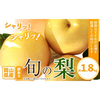 訳あり 旬の 梨 約1.8kg 2~6玉前後 岡山県産《9月上旬-1月末頃に出荷予定》岡山 笠岡市