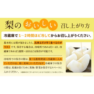 訳あり 旬の 梨 約1.8kg 2~6玉前後 岡山県産《9月上旬-1月末頃に出荷予定》岡山 笠岡市