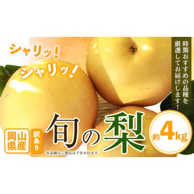 訳あり 旬の 梨 約4kg 3～10玉前後 岡山県産《9月上旬-1月末頃に出荷予定》岡山 笠岡市