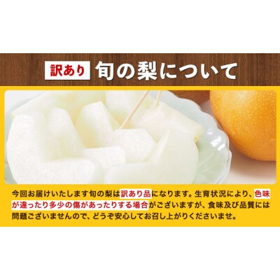訳あり 旬の 梨 約4kg 3～10玉前後 岡山県産《9月上旬-1月末頃に出荷予定》岡山 笠岡市