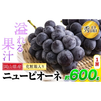 岡山県産 秀品 ニューピオーネ 約600g 1房《8月下旬-10月中旬頃出荷》岡山県 笠岡市 果物