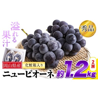 岡山県産 秀品 ニューピオーネ  約1.2kg 2房《8月下旬-10月中旬頃出荷》岡山県 笠岡市