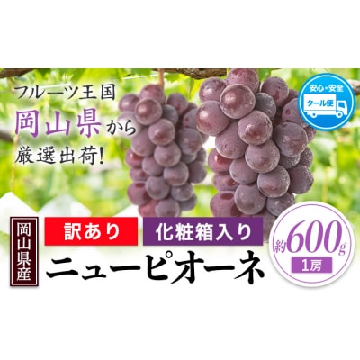 岡山県産 訳あり ニューピオーネ 約600g 1房《8月下旬-10月中旬頃出荷》岡山県 笠岡市 果物