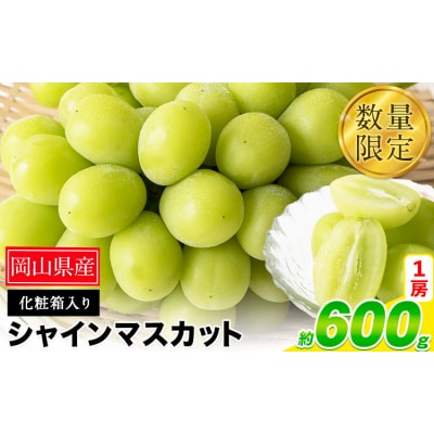 秀品 シャインマスカット 約600g 1房《9月上旬-11月上旬頃出荷》岡山県 笠岡市 果物