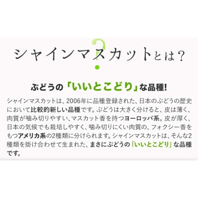 秀品 シャインマスカット 約600g 1房《9月上旬-11月上旬頃出荷》岡山県 笠岡市 果物
