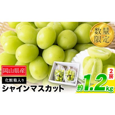 秀品 シャインマスカット 約1.2kg 2房《9月上旬-11月上旬頃出荷》岡山県 笠岡市 果物