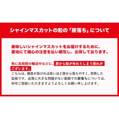秀品 シャインマスカット 約1.2kg 2房《9月上旬-11月上旬頃出荷》岡山県 笠岡市 果物