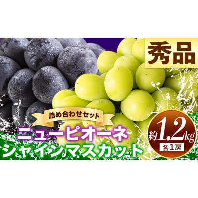 岡山県産 秀品 シャインマスカット ニューピオーネ 約1.2kg 2房《9月上旬10月下旬頃出荷》