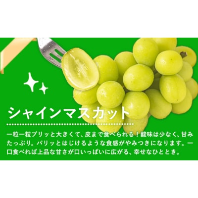 岡山県産 秀品 シャインマスカット ニューピオーネ 約1.2kg 2房《9月上旬10月下旬頃出荷》