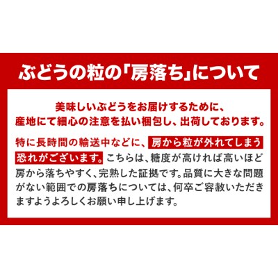 岡山県産 秀品 シャインマスカット ニューピオーネ 約1.2kg 2房《9月上旬10月下旬頃出荷》