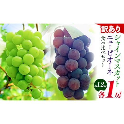 訳あり ニューピオーネ シャインマスカット 約1.2kg 2房《9月上旬-10月下旬頃に出荷予定》