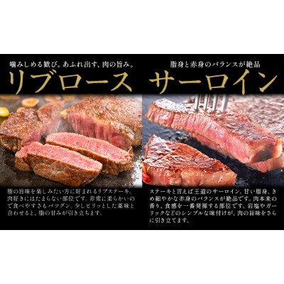 岡山県産牛 ステーキ サーロイン or リブ 交雑牛 250g《60日以内に出荷予定(土日祝除く)》