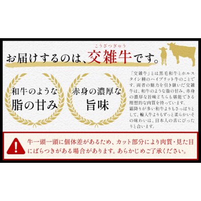 岡山県産牛 ステーキ サーロイン or リブ 交雑牛 250g《60日以内に出荷予定(土日祝除く)》
