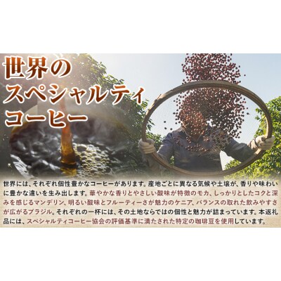 ドリップパック アソートセット 2パック サーヴ《30日以内に出荷予定(土日祝を除く)》
