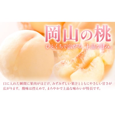 【定期便】フルーツ Aコース 3回定期便 桃 マスカット ピオーネ 梨《7月上旬-10月末頃出荷》