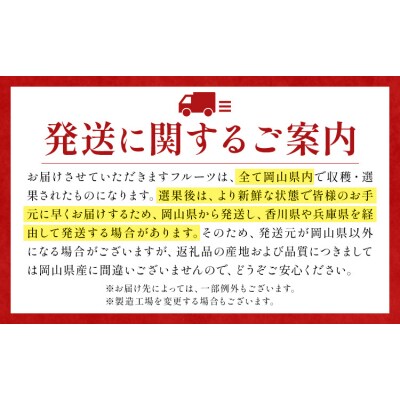 【定期便】フルーツ Bコース 3回定期便 桃 マスカット ピオーネ 梨《7月上旬-10月末頃出荷》