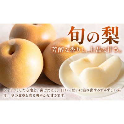 【定期便】フルーツ Aコース 4回定期便 桃 マスカット ピオーネ 梨《7月上旬-12月末頃出荷》