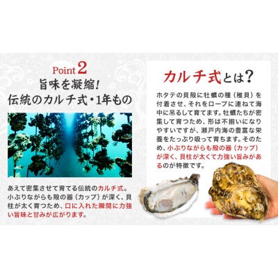 笠岡産 牡蠣 TAKIOKAプレミアム カルチ式 加熱用 1.5kg 《10月上旬-6月下旬頃出荷》
