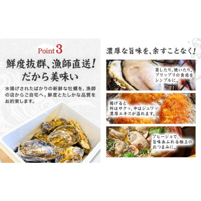 笠岡産 牡蠣 TAKIOKAプレミアム カルチ式 加熱用 1.5kg 《10月上旬-6月下旬頃出荷》