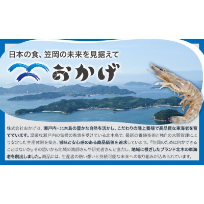 無選別 北木のせんべい車海老 われせん 90g 株式会社おかげ《30日以内に出荷予定(土日祝除く)》