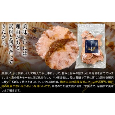 無選別 北木のせんべい車海老 われせん 90g 株式会社おかげ《30日以内に出荷予定(土日祝除く)》