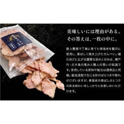 無選別 北木のせんべい車海老 われせん 90g 株式会社おかげ《30日以内に出荷予定(土日祝除く)》