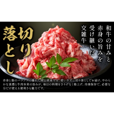 【3ヶ月定期便】岡山県産牛 切り落とし 1kg