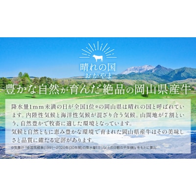 牛肉 国産 切り落とし ミンチセット 岡山県産牛 2kg《60日以内に出荷予定(土日祝除く)》