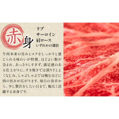 【12ヶ月定期便】岡山県産牛 スライス 赤身 500g×12回《お申し込み月の翌月から出荷開始》